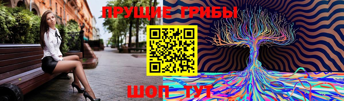 Псилоцибиновые грибы мицелий Лесозаводск